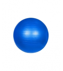 Мяч гимнастический Leco 65 см т1232