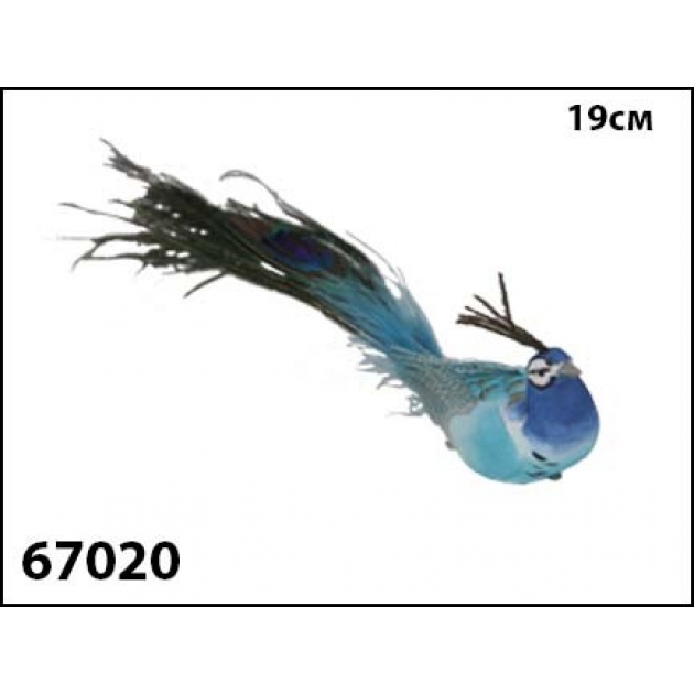 Елочное украшение перо павлина 19 см Marko Ferenzo 67020