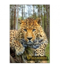 Пазлы puzzolini большой леопард 500 эл Puzzolini GIPZ500-7666