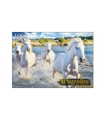 Пазлы puzzolini табун камаргских лошадей 1000 эл Puzzolini GIPZ1000-7703