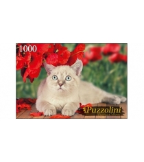 Пазлы Puzzolini кот и маки 1000 эл GIPZ1000-7704