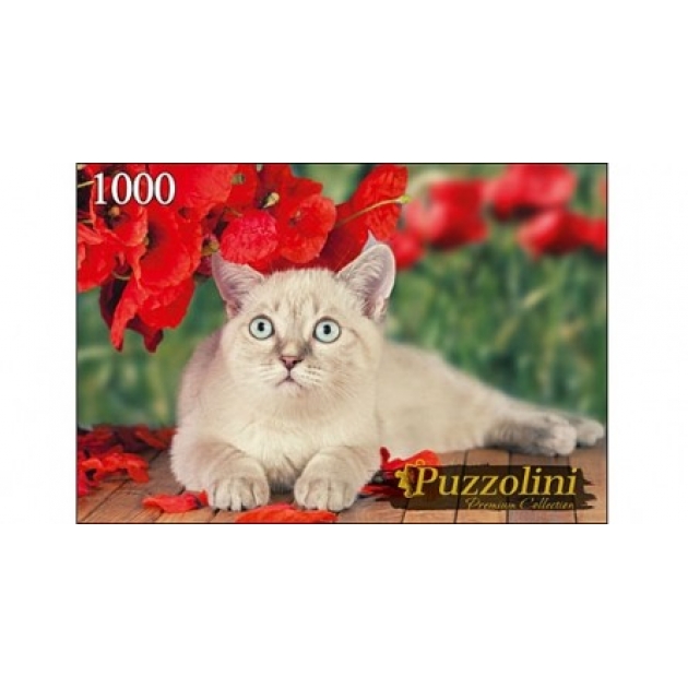 Пазлы Puzzolini кот и маки 1000 эл GIPZ1000-7704