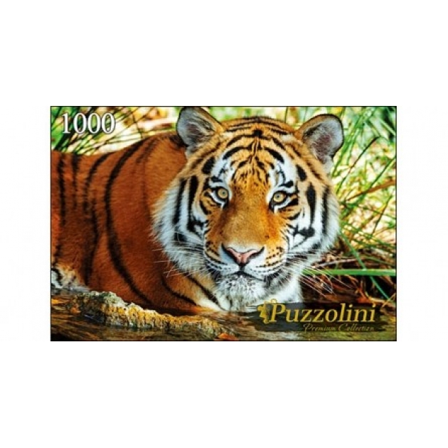 Пазлы Puzzolini амурский тигр 1000 эл GIPZ1000-7707