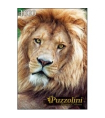 Пазлы Puzzolini большой лев 1000 эл GIPZ1000-7709
