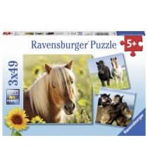 Пазл Ravensburger Пони 3х49шт 8011