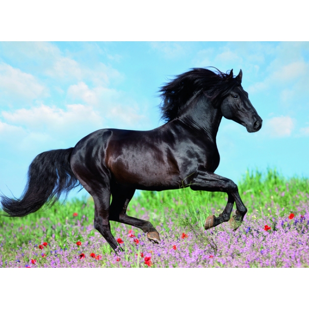 Пазл Ravensburger Прекрасная лошадь xxl 200 шт 12803
