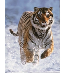 Пазл Ravensburger Тигр на снегу 500 шт 14475