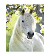 Пазл Ravensburger Грациозная белая лошадь 500 шт 14726