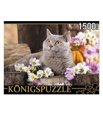 Пазлы Konigspuzzle британский кот 1500 эл ГИК1500-8478