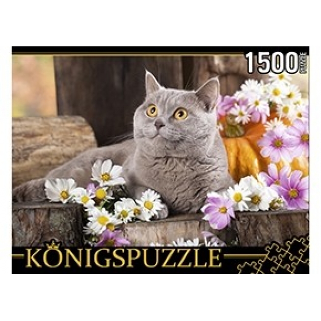 Пазлы Konigspuzzle британский кот 1500 эл ГИК1500-8478