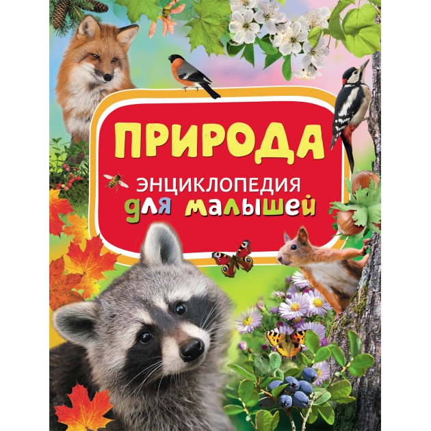 Книга энциклопедия для малышей природа Росмэн 30735