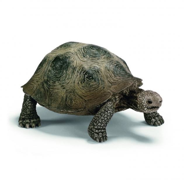 Фигурка wild life гигантская черепаха длина 8.5 см schleich 14601