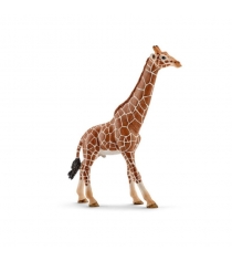 Фигурка Schleich Wild Life Жираф самец 14749