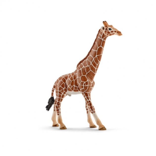 Фигурка Schleich Wild Life Жираф самец 14749