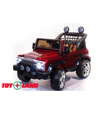 Toyland LR DK DK-F006 К красный краска