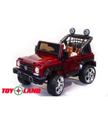 Toyland MB DK DK-F008 К красный краска